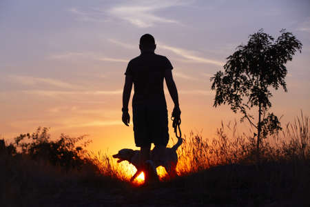 Young man with his yellow labrador retriever in nature - back litの写真素材