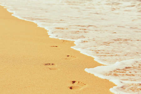 Human footprint in wet sand on the beach - selective focusの写真素材