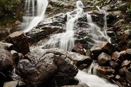 Wild water of the waterfall in Sri Lanka の写真素材