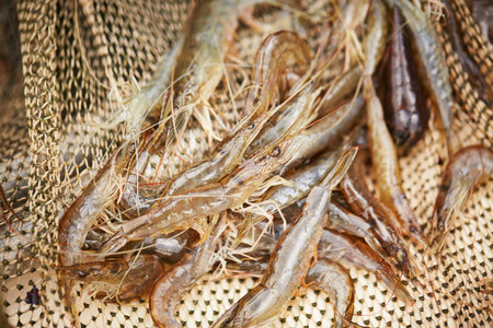 Close up view on the raw prawns in fishing net.