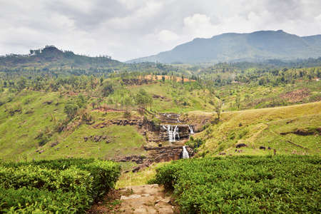 St. Clair waterfall near tea plantation in Sri Lankaの写真素材