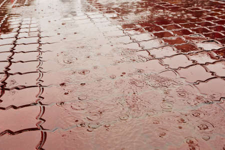 Puddle of water in rain - selective focusの写真素材