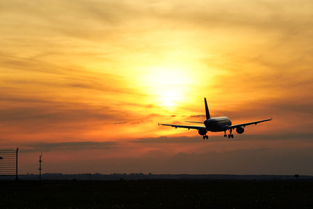 Airplane is landing at the sunset. 