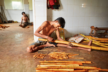 HIKKADUWA, SRI LANKA - July 11: Man is processing branches of cinnamon in small workshop near...