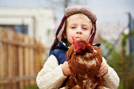 Little boy is holding the hen on the farmの写真素材