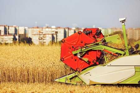 Combine harvester on the wheat field during harvest