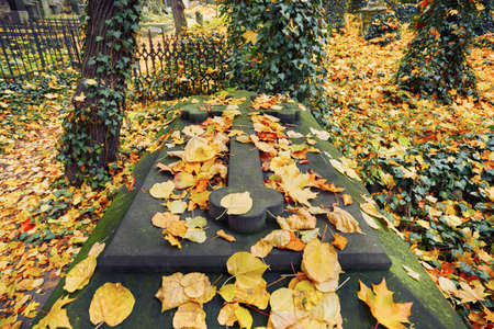 A gravestone at old cemetery in autumnの写真素材
