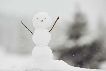 Winter time - snowman in nature in cold dayの写真素材