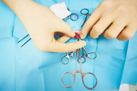 Hands of veterinarian during surgery (cat in veterinary hospital)の写真素材