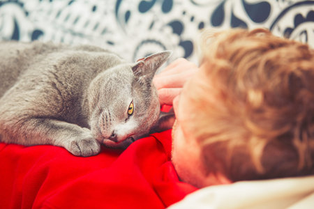 Young man with his russian blue cat at the homeの写真素材