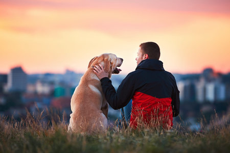 Enjoying sun. Man is caressing yellow labrador retriever. Young man sitting on the hill with his dog. Amazing sunrise in the city. Prague in Czech Republic.の写真素材