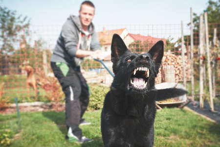 Aggressive dog is barking. Young man with angry black dog on the leash.の写真素材