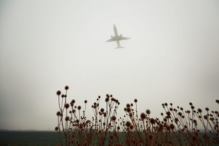 The airplane is landing during bad weather in thick fog