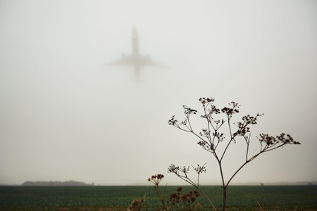 The airplane is landing during bad weather in thick fogの写真素材