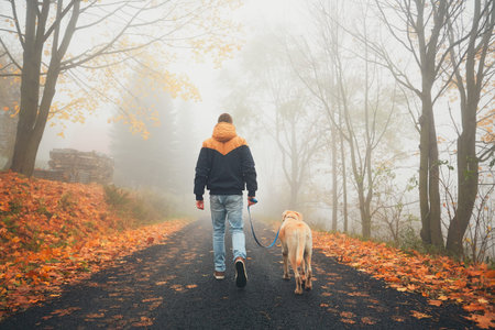 Rural road in mysterious fog. Man with dog on the trip in autumn nature. の写真素材