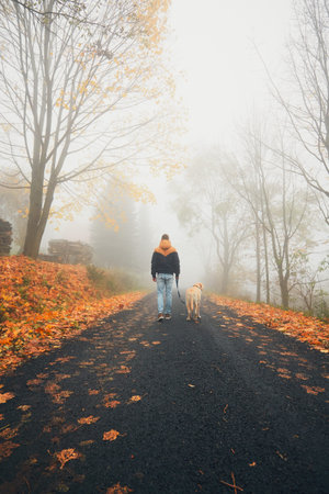 Rural road in mysterious fog. Man with dog on the trip in autumn nature.の写真素材