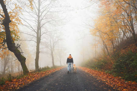 Rural road in mysterious fog. Man with dog on the trip in autumn nature.の写真素材