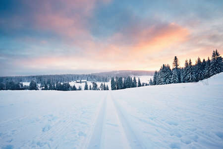 Winter landscape at the sunset. Cross country skiing in Sumava mountains, Czech Republicの写真素材