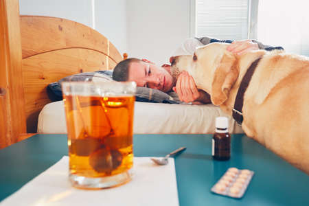 Loyal dog and his sick owner in bed. Hot tea and medicine on the table.の写真素材