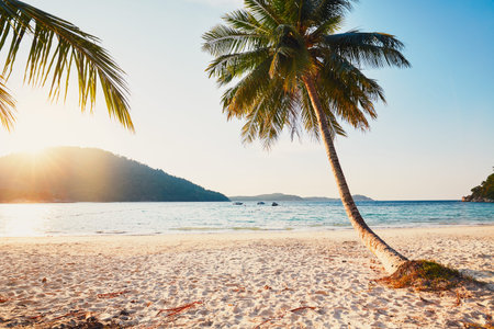 Sunset in paradise. Idyllic beach on the Perhentian islands in Malaysia.