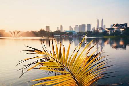 Beautiful morning in public park in Kuala Lumpur. Skyline of the modern city at sunrise. Selective focus on the palm leaf.の写真素材