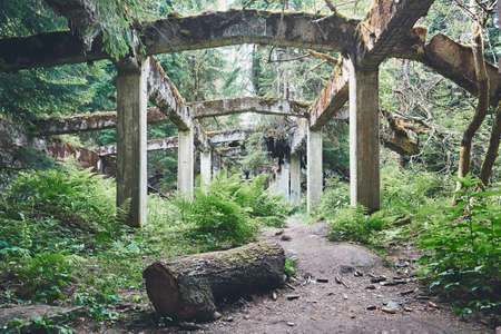 Abandoned old ruined factory in the middle of the forest. Ore mountains, Czech Republicの写真素材