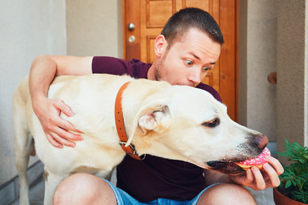 Young man resting with dog on the stairs in front of the house. Naughty labrador retriever steals donut from hand his owner.の写真素材
