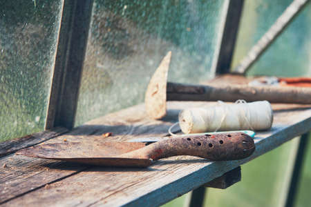 Gardening Hand Trowel, small hoe and other tools on the shelf inside the greenhouse.の写真素材