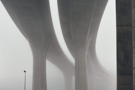 Pillars of the highway bridge in mysterious morning fog. Prague, Czech Republic