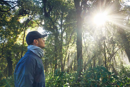 Hike during sunrise. Young man (traveler) walking in tropical rainforest in Thailand mountains.の写真素材
