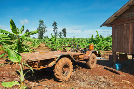Old truck in the banana plantation. Rural scene in Cambodia.の写真素材