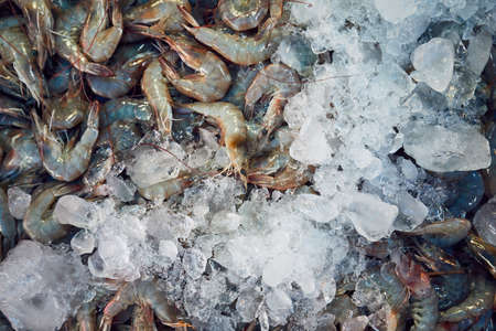 Closeup of a lot of fresh shrimps with ice on the street market. Bangkok, Thailandの写真素材