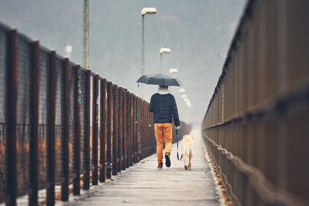 Gloomy weather in the city. Man with his dog (labrador retriever) walking in rain on the bridge....