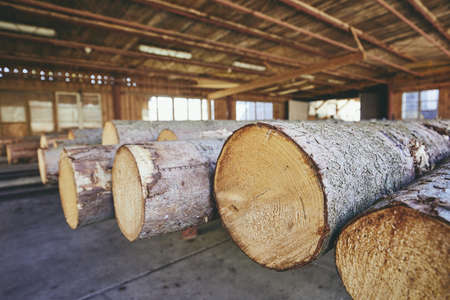 Lumber industry. Stack of the timber at the sawmill.の写真素材