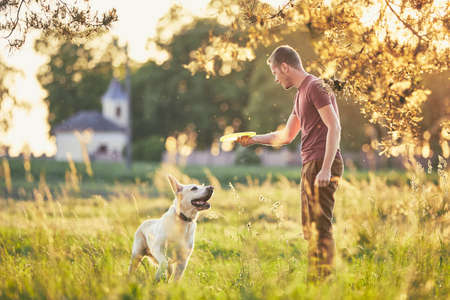 Young man throwing flying disc for his dog. Summer time with labrador retriver on meadow at sunset.の写真素材