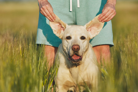 Funny view of dog. Young man playing with his labrador retriver in nature.の写真素材