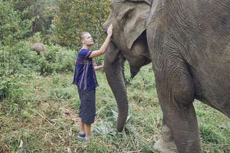 Face to face. Young traveler with friendly elephant in tropical rainforest in Chiang Mai Province, Thailand.のeditorial素材