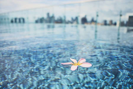 Bloom floating on water surface of rooftop swimming pool against silhouette buildings of urban skyline.の写真素材