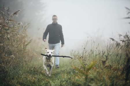Young man playing with dog (labrador retriever) in autumn foggy morning.