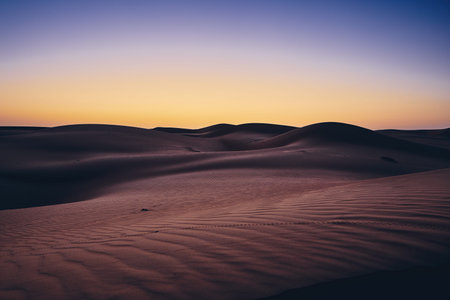 Sand dunes against sky before sunrise. Desert Wahiba Sands in Oman.