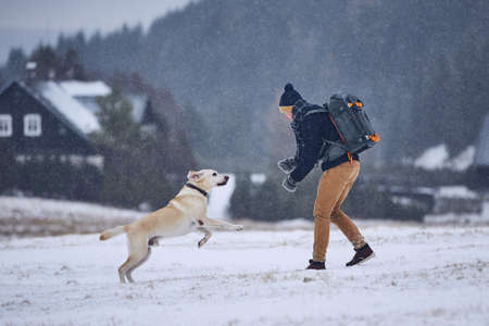 Friendship between pet owner and his dog. Young man playing with labrador retriever in winter landscape. Jizera mountains, Czech Republicの写真素材