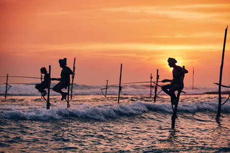 Silhouettes of the traditional fishermen. Traditional stilt fishing near Galle in Sri Lanka.の写真素材
