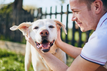 Happy dog and his owner. Young man embracing labrador retriever on back yard of house.