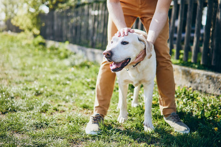 Happy dog and his owner. Young man embracing labrador retriever on back yard of house.