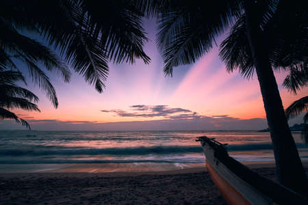 Silhouette of palm tree against colorful sky with sunbeams. Tropical beach at beautiful dawn, Sri Lanka.の写真素材