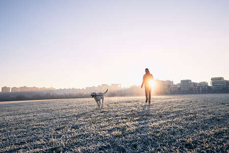 Frosty morning with dog. Young man walking with his dog against cityscape at sunrise.の写真素材