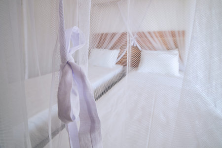 Luxury accommodation in tropical destination. Selective focus on mosquito net in bedroom of...