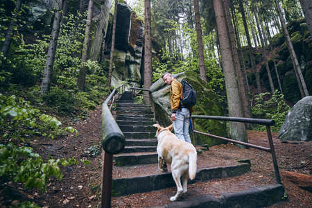 Man with his dog on stone stairs to rock formations in the middle of forest. Hruba Skala in Bohemian Paradise, Czech Republicの写真素材