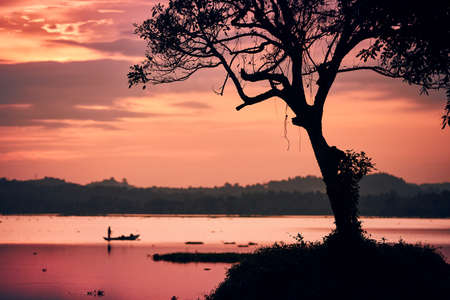 Silhouette tree on lakeshore against fisherman on boat at colorful sunset, Sri Lanka.の写真素材