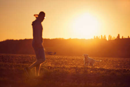 Man throwing flying disc for his dog. Pet owner with labrador retriver on field during walk at beautiful sunset.の写真素材